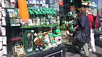 06-To be sure, to be sure - what are those green things